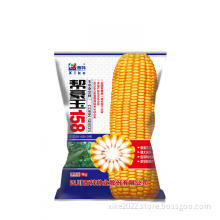 100% Natural Quality Corn Seeds